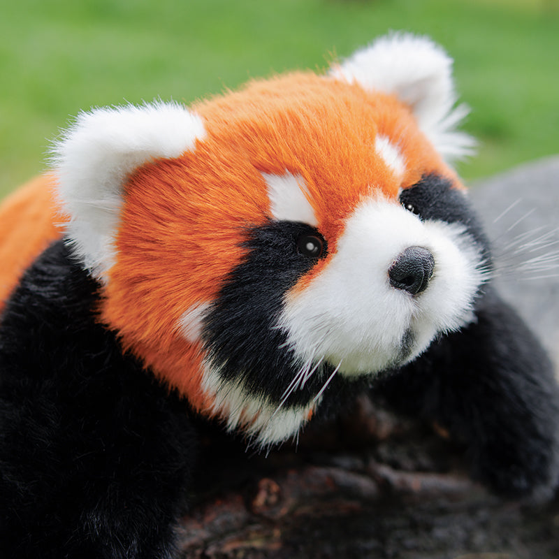 Red Panda ESSA Weighted Stuffed Animal – Snuggle Toy for Relaxation