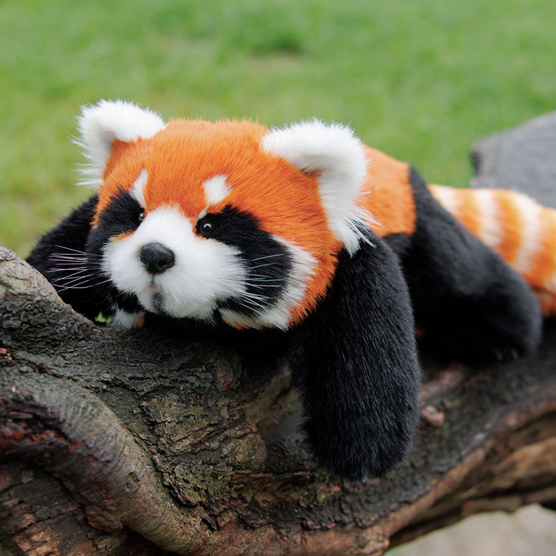 Red Panda ESSA Weighted Stuffed Animal – Snuggle Toy for Relaxation