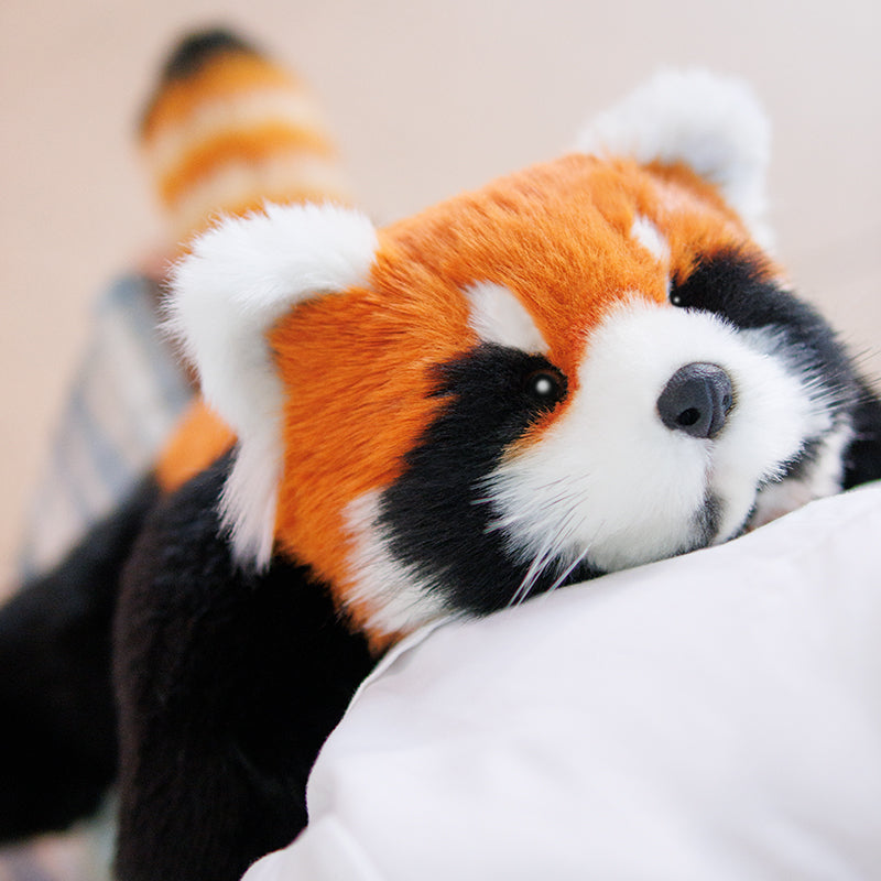 Red Panda ESSA Weighted Stuffed Animal – Snuggle Toy for Relaxation