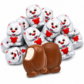 Kinder Mini Friends Milk Chocolate with Milky Filling – Individually Wrapped – Bulk Value Bag